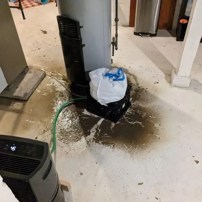 Sewage Backup Cleanup Service in Canyon Lake, TX